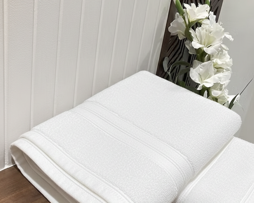 Gemini_Generated_Image_p66ohqp66ohqp66o